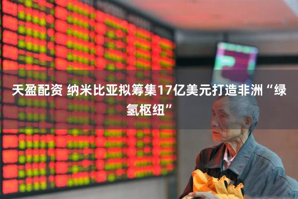 天盈配资 纳米比亚拟筹集17亿美元打造非洲“绿氢枢纽”