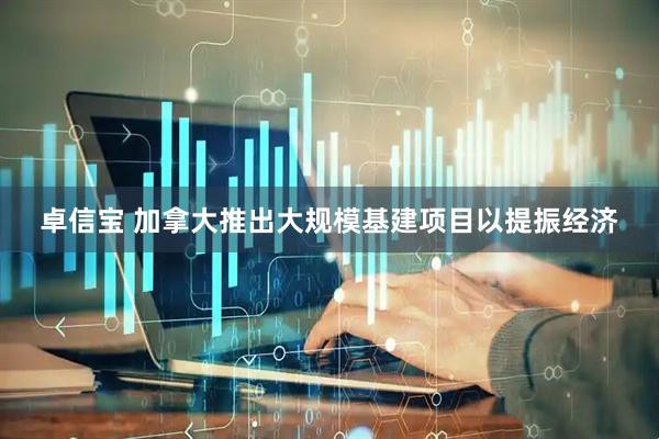 卓信宝 加拿大推出大规模基建项目以提振经济