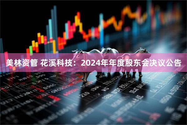 美林资管 花溪科技：2024年年度股东会决议公告