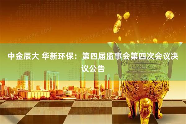 中金辰大 华新环保：第四届监事会第四次会议决议公告