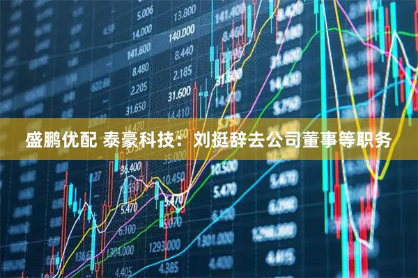 盛鹏优配 泰豪科技：刘挺辞去公司董事等职务