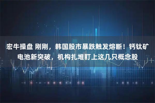 宏牛操盘 刚刚,韩国股市暴跌触发熔断!钙钛矿电池新突破,机构扎堆盯上这几只概念股
